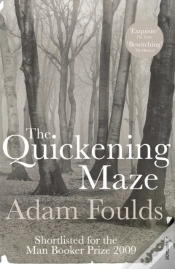 Capa do artigo Quickening Maze