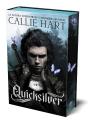 Quicksilver - Preview