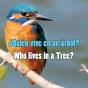 Quien Vive En Un Arbol? - Preview