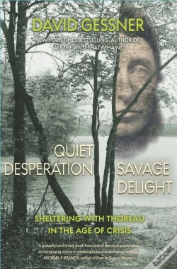Capa do artigo Quiet Desperation, Savage Delight