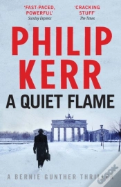 Capa do artigo Quiet Flame