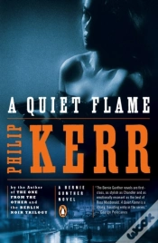 Capa do artigo Quiet Flame