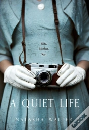 Capa do artigo Quiet Life