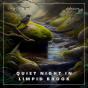 Quiet Night In Limpid Brook - Preview