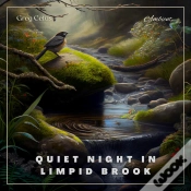 Capa do artigo Quiet Night In Limpid Brook