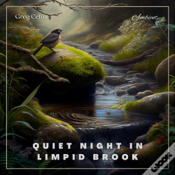 Capa do artigo Quiet Night In Limpid Brook