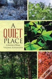 Capa do artigo Quiet Place