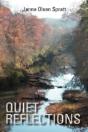 Quiet Reflections - Preview
