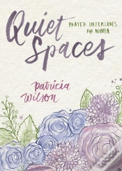 Capa do artigo Quiet Spaces