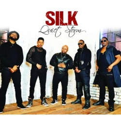 Capa do artigo Quiet Storm - CD