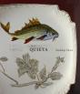 Quieta - Preview