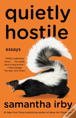 Capa do artigo Quietly Hostile