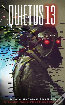 Capa do artigo Quietus 13