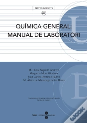 Capa do artigo Quimica General: Manual De Laboratori