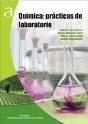 Química: Prácticas De Laboratorio - Preview