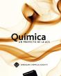 Química, Un Proyecto De La A.C.S. - Preview