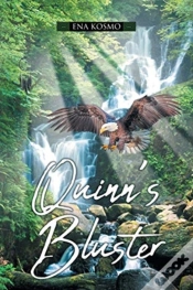 Capa do artigo Quinn