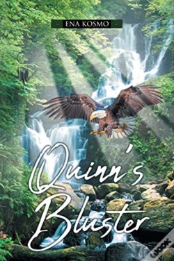 Capa do artigo Quinn'S Bluster