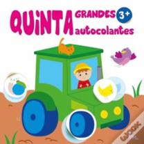 Quinta 3+