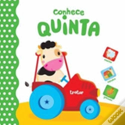 Capa do artigo Quinta