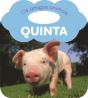 Quinta - Preview