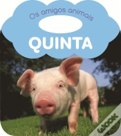 Capa do artigo Quinta