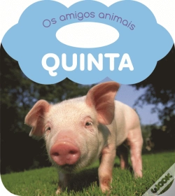 Capa do artigo Quinta