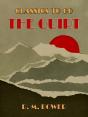 Quirt - Preview