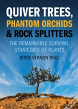 Capa do artigo Quiver Trees, Phantom Orchids And Rock Splitters