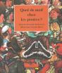 Quoi De Neuf Chez Les Pirates - Preview