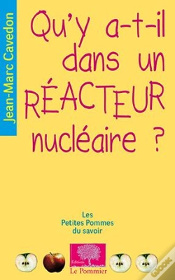 Capa do artigo Qu'Y A-T-Il Dans Un Réacteur Nucléaire ?