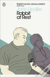 Capa do artigo Rabbit At Rest