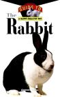 Rabbit - Preview