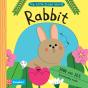 Rabbit - Preview