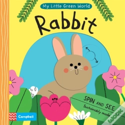 Capa do artigo Rabbit