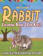 Rabbit Coloring Book 2 For Kids! A Unique Collection Of Coloring Pages For Children - Preview