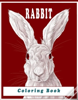 Capa do artigo Rabbit Coloring Book