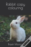 Rabbit Copy Colouring