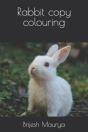 Rabbit Copy Colouring - Preview