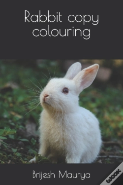 Capa do artigo Rabbit Copy Colouring