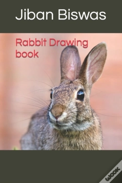 Capa do artigo Rabbit Drawing Book