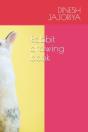 Rabbit Drawing Book - Preview
