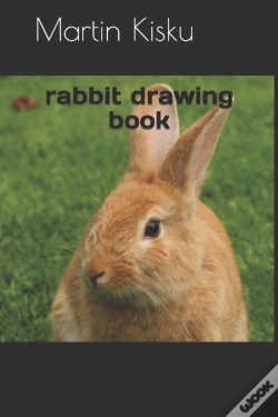 Capa do artigo Rabbit Drawing Book