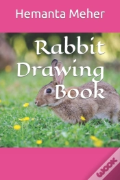 Capa do artigo Rabbit Drawing Book