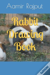 Capa do artigo Rabbit Drawing Book