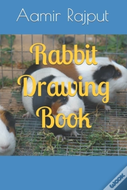 Capa do artigo Rabbit Drawing Book
