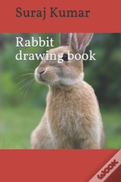 Capa do artigo Rabbit Drawing Book