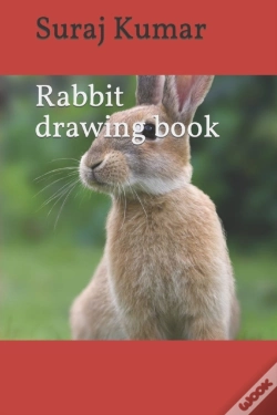 Capa do artigo Rabbit Drawing Book