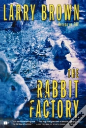 Capa do artigo Rabbit Factory