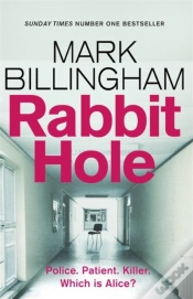 Capa do artigo Rabbit Hole